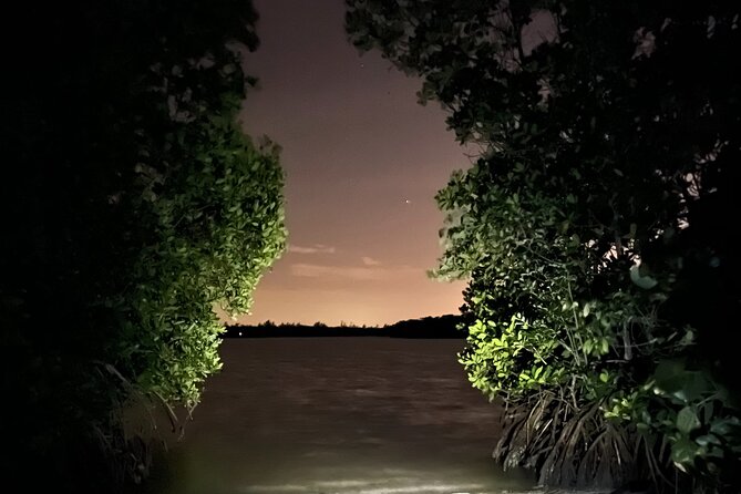 GLOW Clear Kayak Tour - Weather Matters More Than You Think