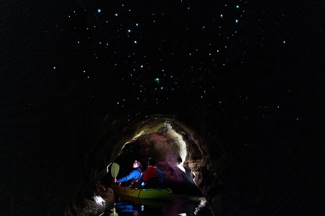 Glow Worm Kayak Tour - Key Highlights