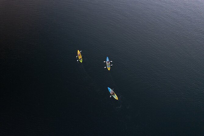 Glow Worm Kayak Tour - Star Gazing After Dark: When the Sky Shows Off