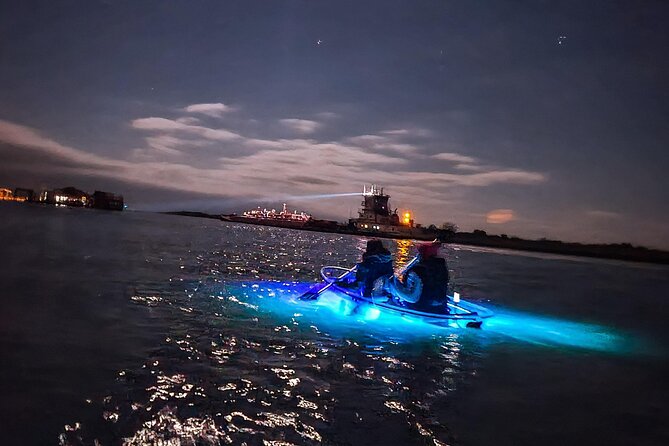 Glowing Kayak Tour Rockport - Little Bay - Wildlife viewing: how the glow helps you spot fish, shrimp, and crabs