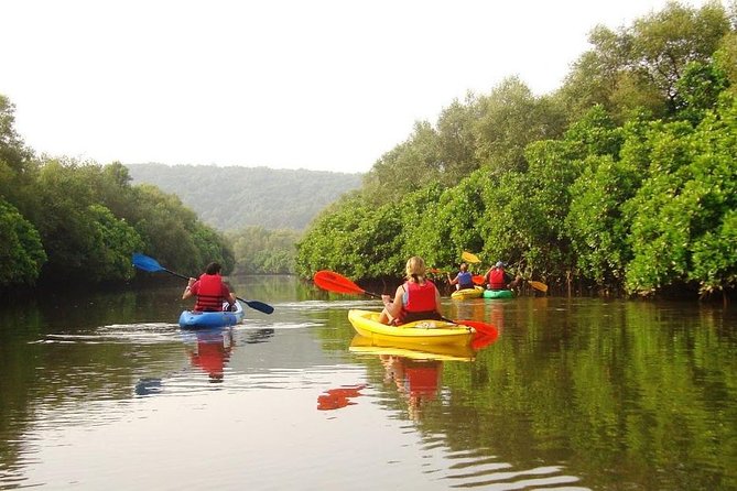 Goa Kayaking in Spike's River - Key highlights and things to look for