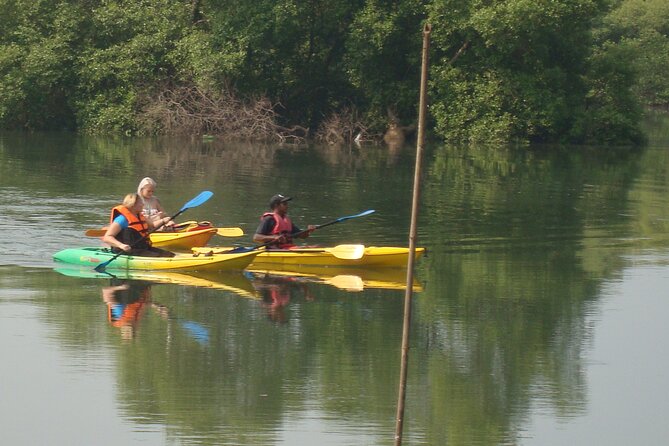 Goa Kayaking Spike's Salonia Backwaters Kayaking Experience - The 15-minute briefing: your fastest confidence boost