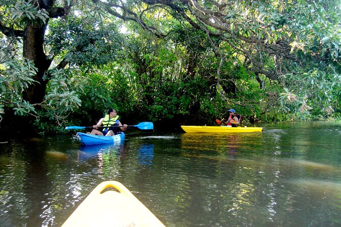 Goa Kayaking Spike's Salonia Backwaters Kayaking Experience - Wildlife spotting: birds, bats, peacocks, and the hope for otters