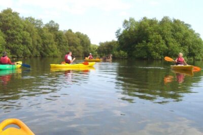 Goa Kayaking Spike's Salonia Backwaters Kayaking Experience - Gear and comfort: what’s covered, what you’re responsible for