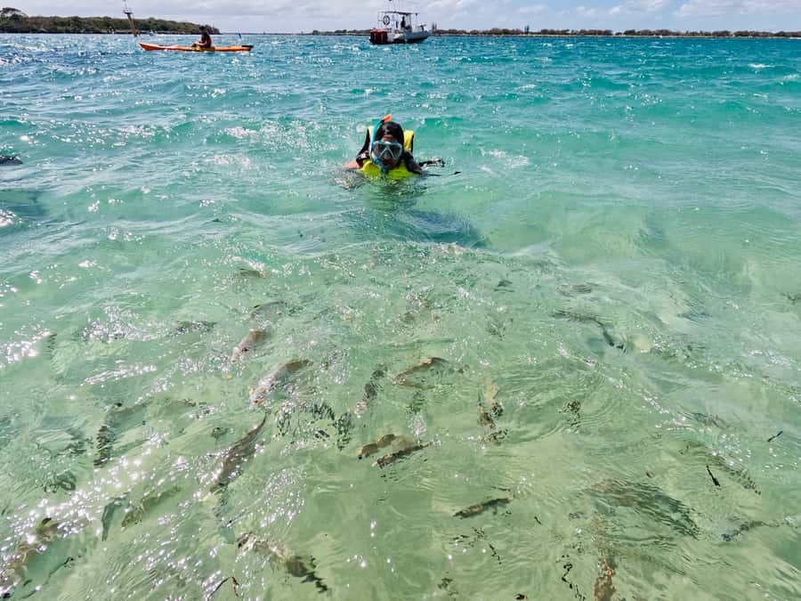 Gold Coast: Kayaking and Snorkeling Guided Tour - The 2-hour plan: paddling, the island approach, and the snorkel stop