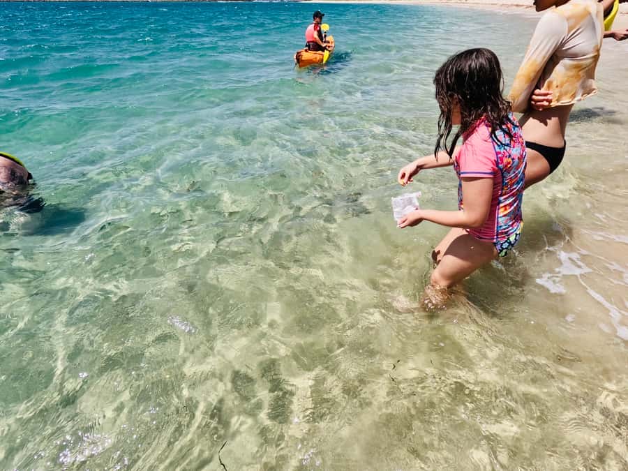 Gold Coast: Kayaking and Snorkeling Guided Tour - What to bring and wear: the items that actually matter