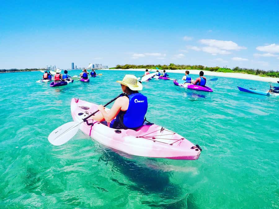 Gold Coast: Kayaking and Snorkeling Guided Tour - Price and what you get for $53 per person