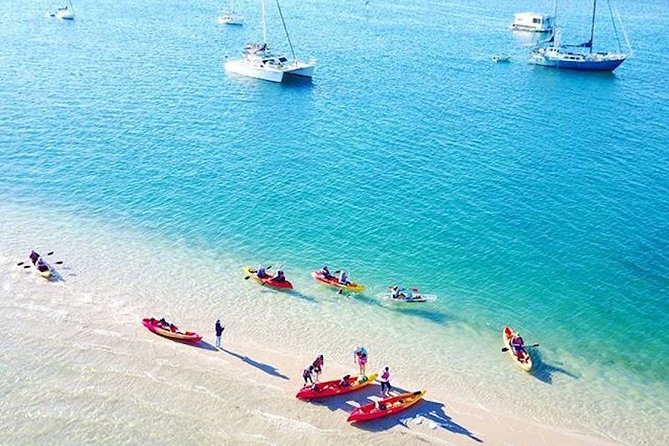 Gold Coast Kayaking & Snorkelling Tour (2.5 Hours) - Broadwater Paddling: Skyline Views, Sandbanks, and Real Wildlife Odds