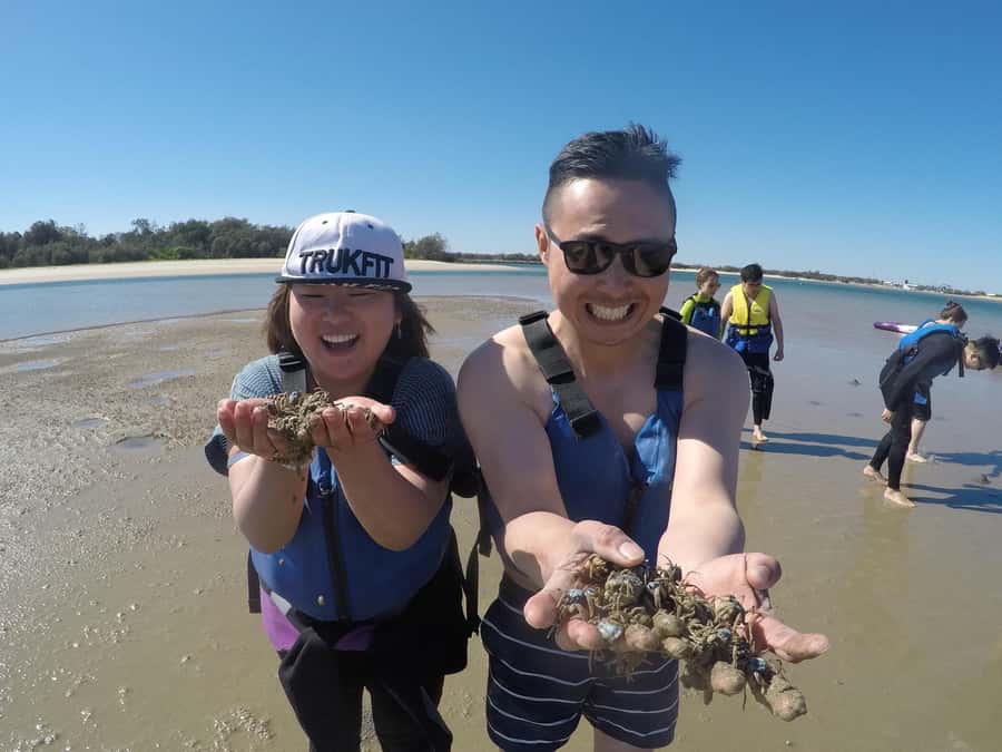 Gold Coast: Kayaking & Snorkelling Tour with Fish Feeding - What you should bring (and how to dress so this feels easy)