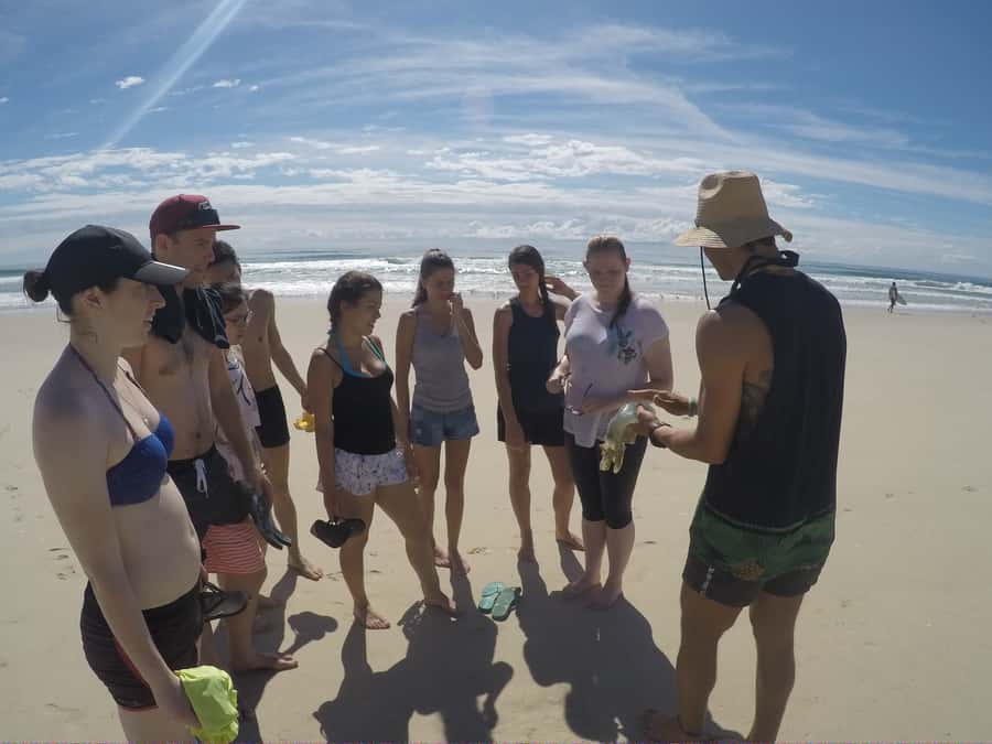 Gold Coast: Kayaking & Snorkelling Tour with Fish Feeding - Price and value: is $63 for 3 hours actually fair?