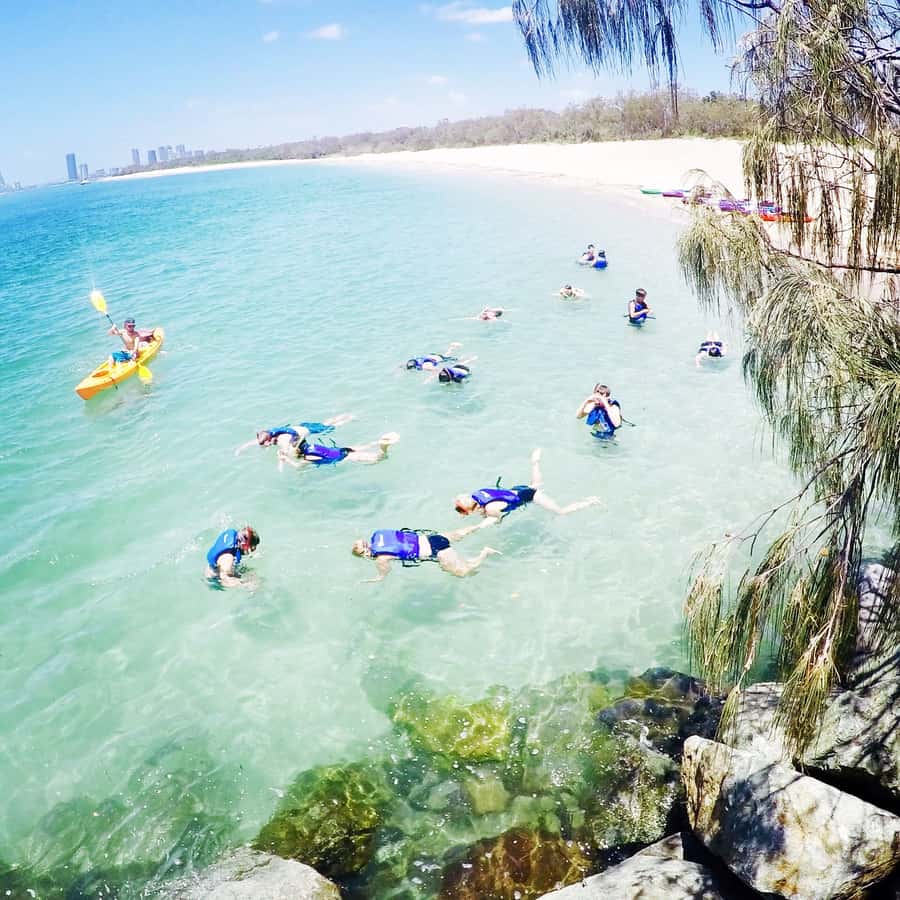 Gold Coast: Kayaking & Snorkelling Tour with Fish Feeding - The snorkel plan: feed colourful subtropical fish from the man-made island