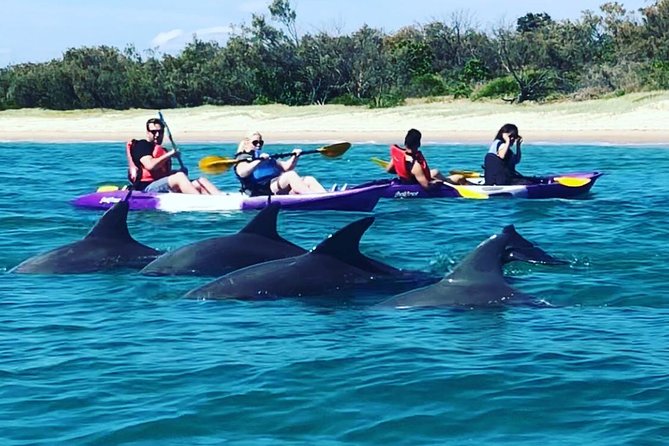 Gold Coast: Morning Kayak & Snorkel Adventure with Breakfast - Key things that make this tour worth your time
