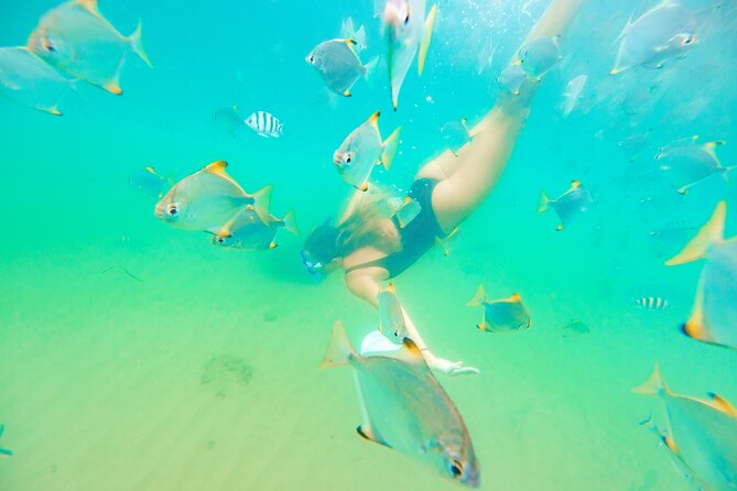 Gold Coast: Morning Kayak & Snorkel Adventure with Breakfast - Biggera Waters meeting point and what you carry (and don’t)