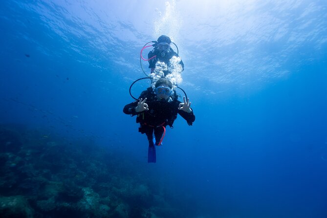 Gold Coast: Morning Kayak & Snorkel Adventure with Breakfast - Price and value: is $71.01 a smart deal?