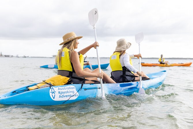 Gold Coast: Morning Kayak & Snorkel Adventure with Breakfast - Broadwater Channel kayaking: calm water, big animal odds