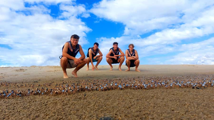 Gold Coast: Wave Break Island Kayaking & Snorkeling tour - Price and value: why $63 can feel fair here