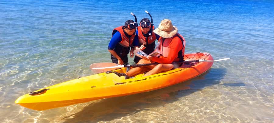Gold Coast: Wave Break Island Kayaking & Snorkeling tour - Wave Break Island: a Gold Coast water day that isn’t about swimming pools