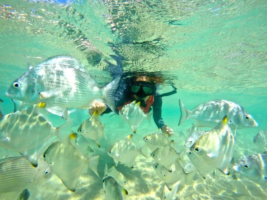 Gold Coast: Wave Break Island Kayaking & Snorkeling tour - Getting started in Biggera Waters (and why you should arrive prepared)