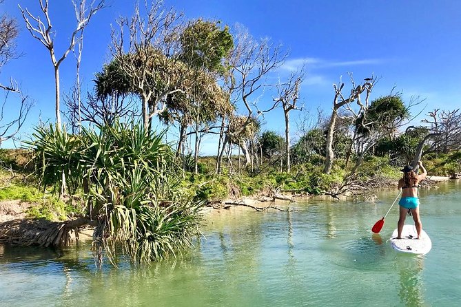 Golden Beach 1-Hour Stand-Up Paddleboard Hire on the Sunshine Coast - The Golden Beach Start: Meeting Spot, Gear, and a Quick Start