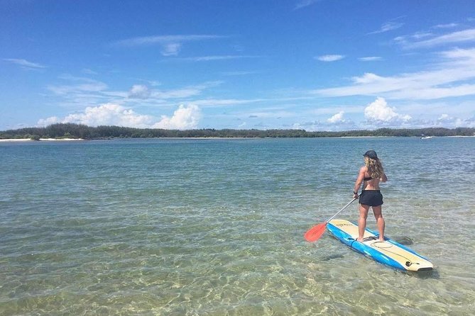 Golden Beach 1-Hour Stand-Up Paddleboard Hire on the Sunshine Coast - Cruising the Pumicestone Passage: What You’ll Notice Right Away