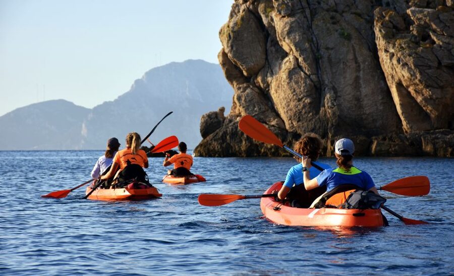 Golfo Aranci: Kayak Tour with Dolphins and Aperitif - Key things I’d bet on from this Golfo Aranci kayak-and-dolphins tour
