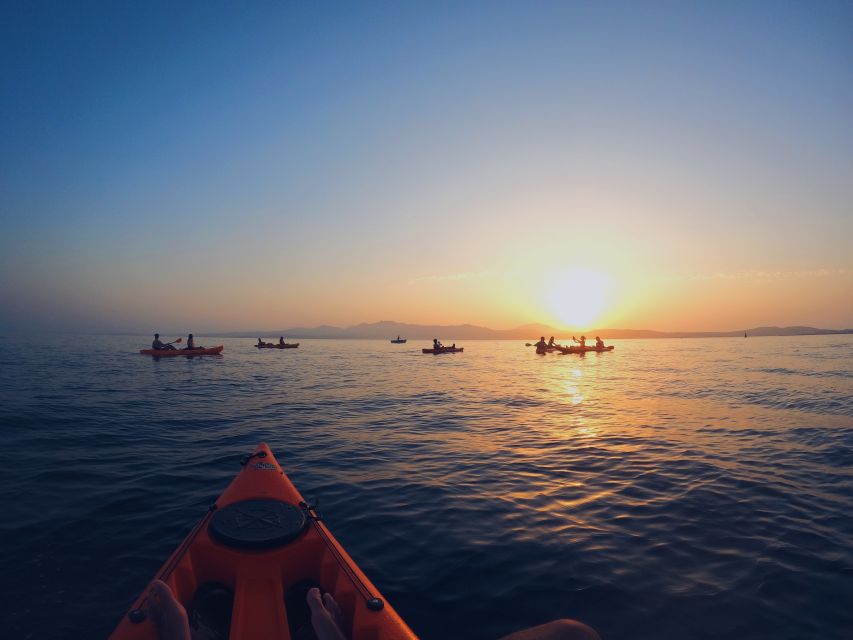 Golfo Aranci: Kayak Tour with Dolphins and Aperitif - Who this Golfo Aranci dolphin kayak tour is best for
