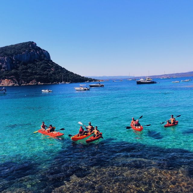 Golfo Aranci: Kayak Tour with Dolphins and Aperitif - Cala Moresca snorkeling: what you’re actually looking for underwater