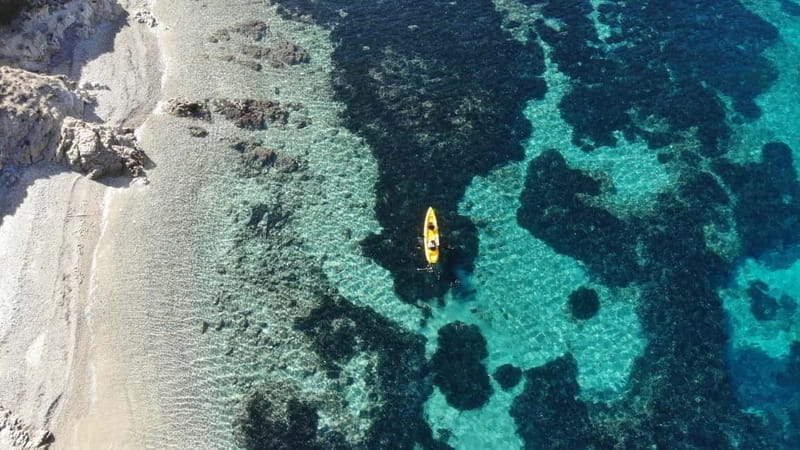 Golfo Aranci:Small group, german guided Kayak tour&Dolphins - Isola di Figarolo break: sardinian snack on the beach