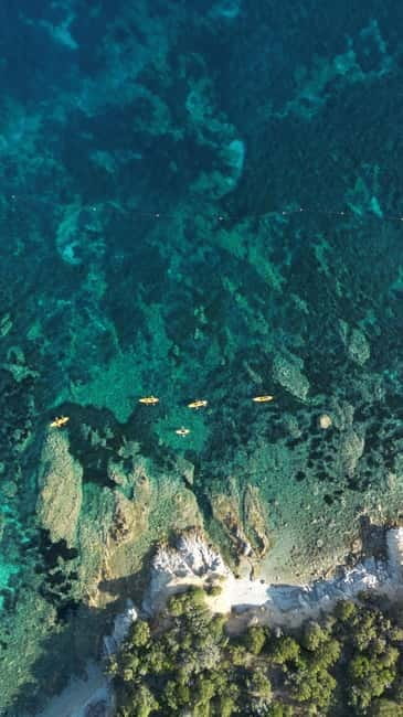 Golfo Aranci:Small group, german guided Kayak tour&Dolphins - The real value for $58: what’s included and why it matters