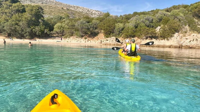 Golfo Aranci:Small group, german guided Kayak tour&Dolphins - Who this kayaking tour suits (and who should skip it)