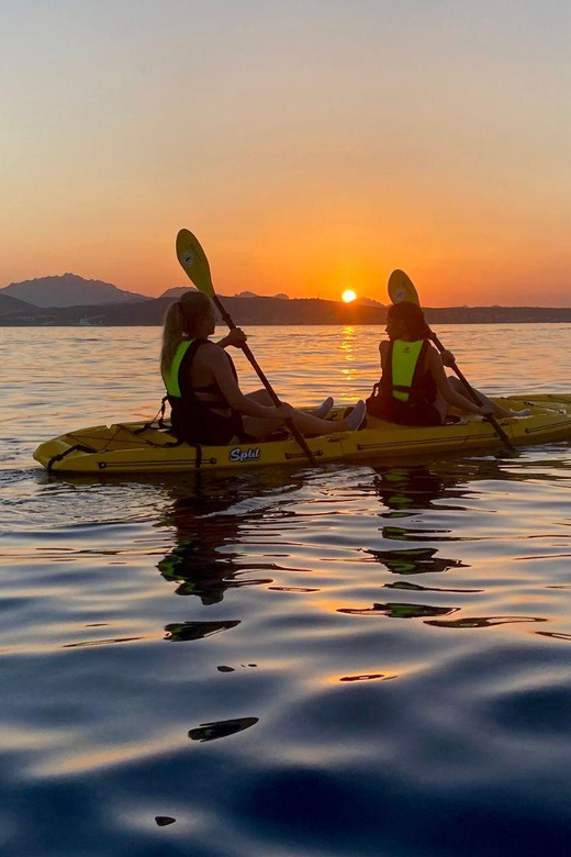 Golfo Aranci: Small group Kayak tour with Aperitif &dolphins - Who should book this kayak-and-dolphin experience