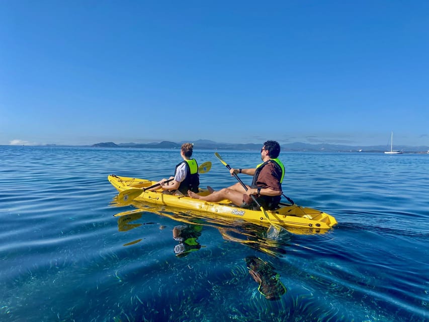Golfo Aranci: Small group Kayak tour with Aperitif &dolphins - Following the dolphins near the fish farm: fun with a real chance