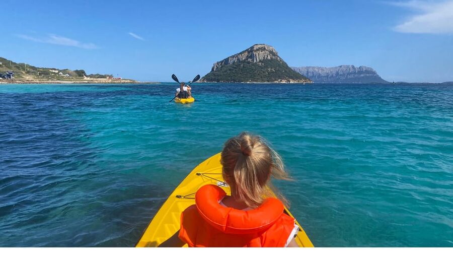 Golfo Aranci: Small group Kayak tour with Aperitif &dolphins - Equipment and comfort: what you’re actually trusting on the water