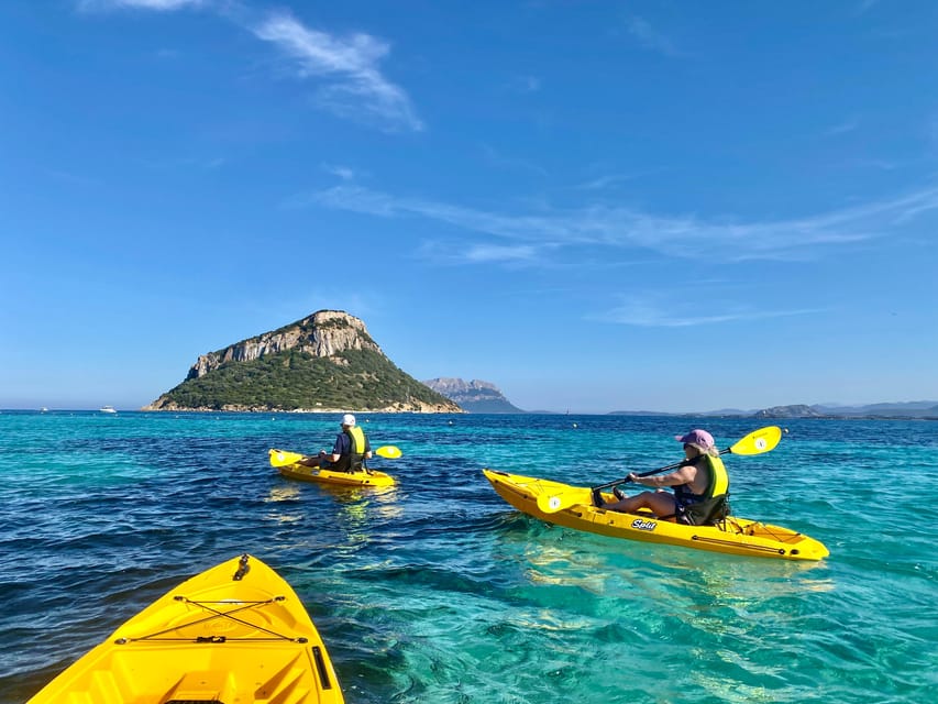 Golfo Aranci: Small group Kayak tour with Aperitif &dolphins - Price and value: is $58 for 3 hours fair?