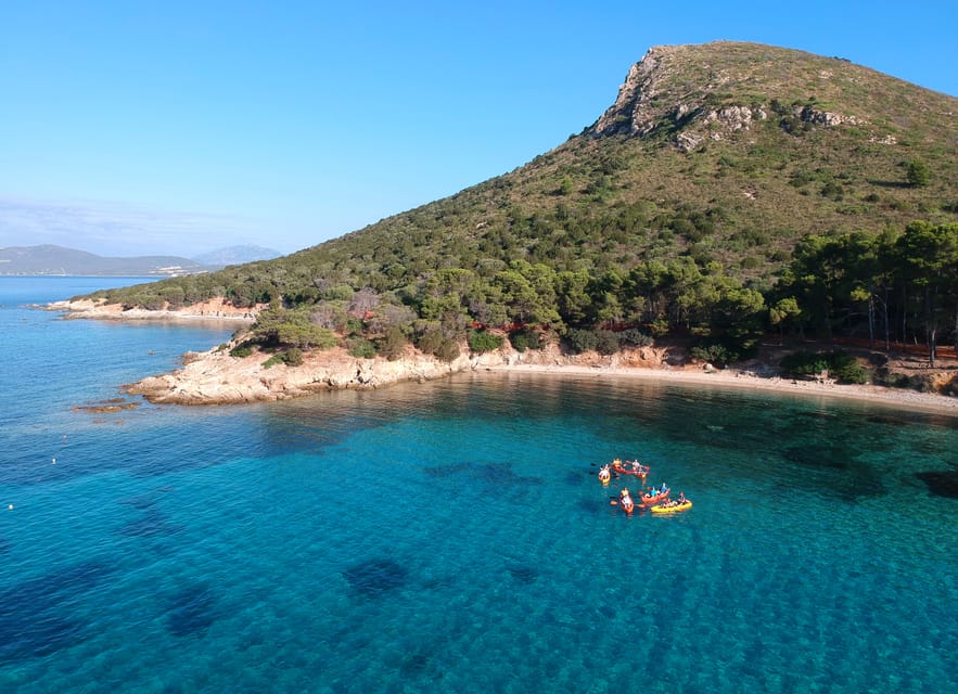 Golfo Aranci: Sunrise Dolphin Kayak Tour with Breakfast - Snorkeling in crystal-clear water (without needing to be a pro)