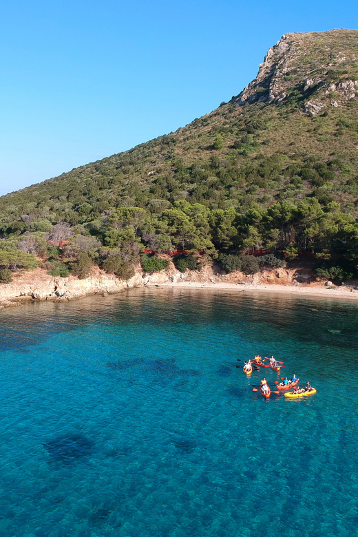 Golfo Aranci: Sunrise Dolphin Kayak Tour with Breakfast - Meeting point, timing, and the real-world logistics
