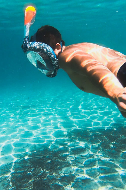 Golfo Aranci: Sunset Dolphin Kayak Tour with Aperitif - Key highlights at a glance