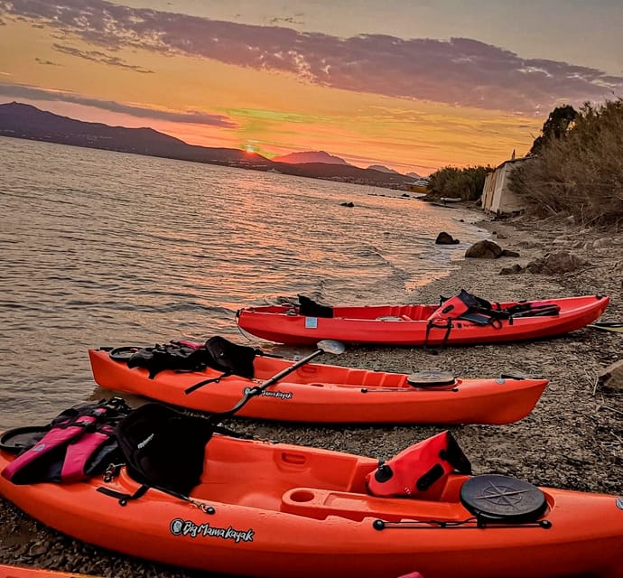 Golfo Aranci: Sunset Dolphin Kayak Tour with Aperitif - Price and value: is $65 worth it?