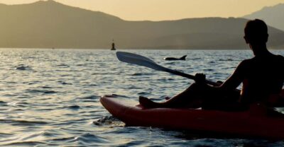 Golfo Aranci: Sunset Dolphin Kayak Tour with Aperitif - 2.5 hours of sunset kayaking: the rhythm of lesson, paddle, and return