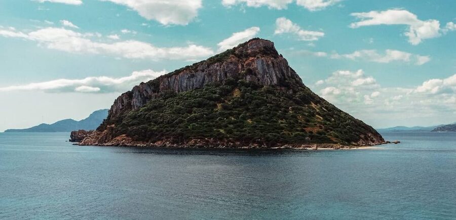 Golfo Aranci: Sunset Dolphin Kayak Tour with Aperitif - The guide experience: marine details, dolphin care, and language reality