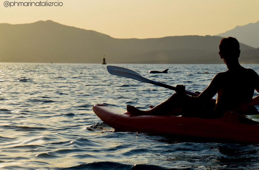 Golfo Aranci: Sunset Dolphin Kayak Tour with Aperitif - Dolphin spotting at golden hour: how the tour sets you up
