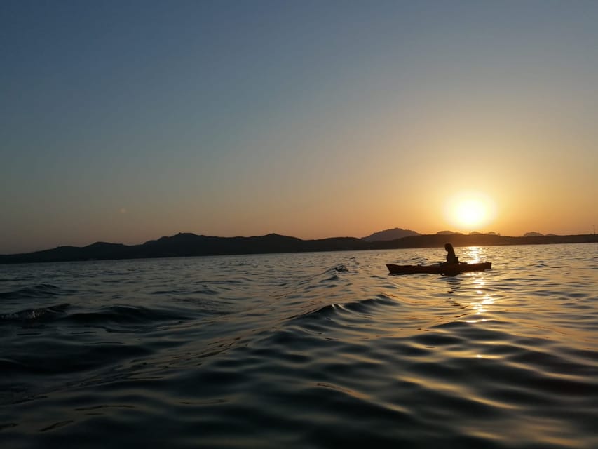 Golfo Aranci: Sunset Dolphin Kayak Tour with Aperitif - What to bring (and what to skip) so your tour feels easy