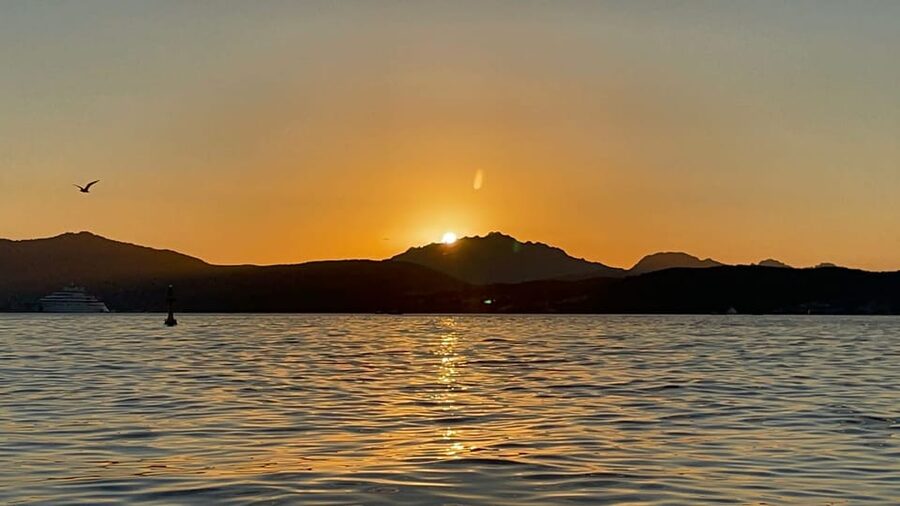 Golfo Aranci: Sunset Dolphin Kayak Tour with Aperitif - Who this tour is best for (and who should choose something else)
