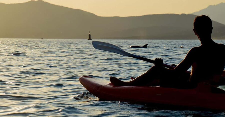 Golfo Aranci: Sunset Dolphin Kayak Tour with Aperitif - 2.5 hours of sunset kayaking: the rhythm of lesson, paddle, and return
