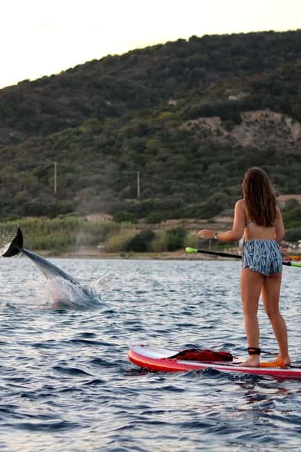 Golfo Aranci: Sup with dolphins, aperitif & photo shoot - Instructors + free photos: the best souvenir is often the video