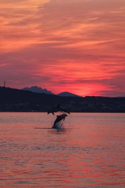 Golfo Aranci: Sup with dolphins, aperitif & photo shoot - The real value of $62.63 per person for 3 hours