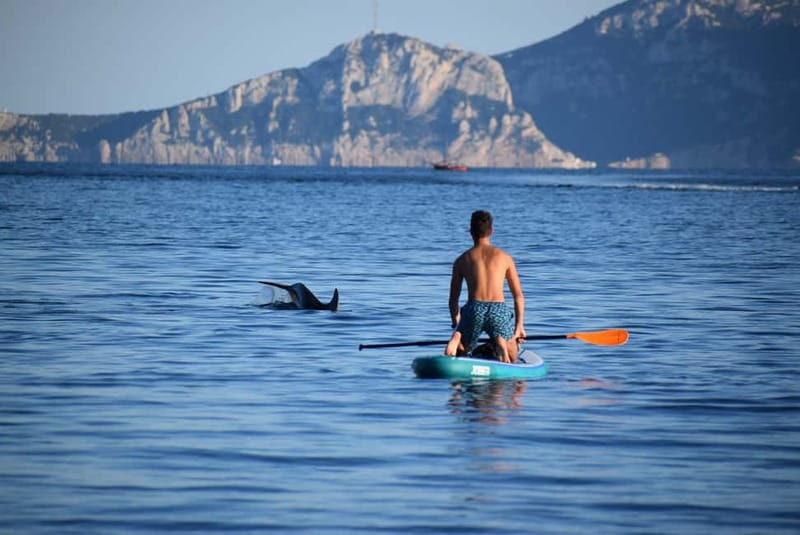 Golfo Aranci: Sup with dolphins, aperitif & photo shoot - Meeting at the Baracconi beach: where you start and what to expect