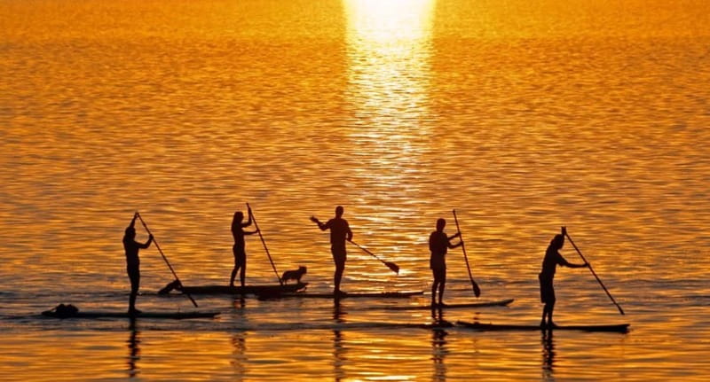 Gran Canaria: Stand-Up Paddle Lesson & Snorkeling Tour - Two hours of SUP on the south and west coast