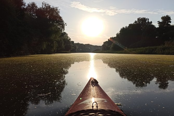Great War Island Kayak Adventure - Why Belgrade’s Great War Island feels like a breather