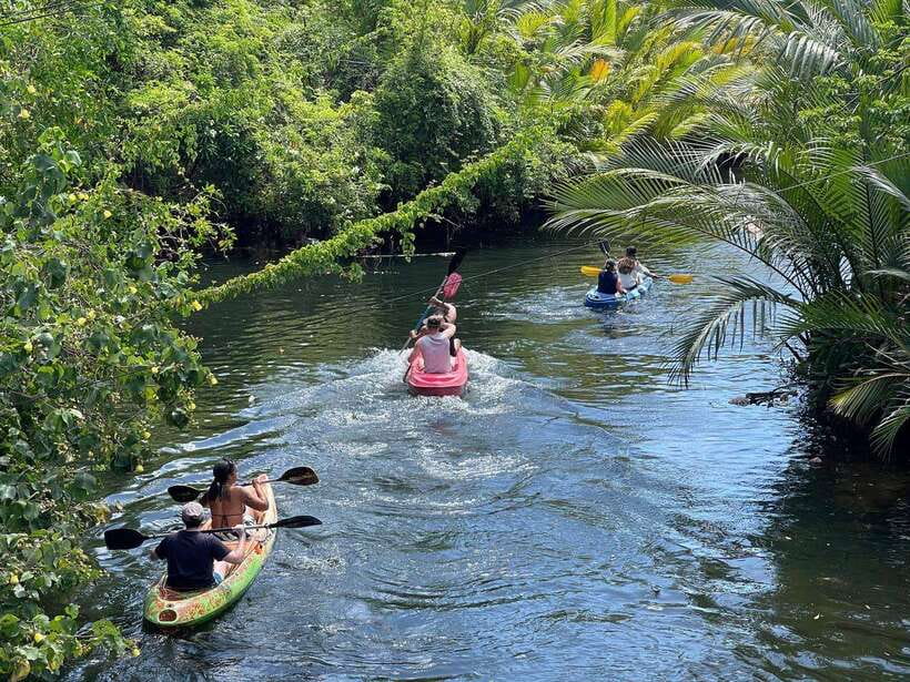 Green Cathedral Kayaking Journey & Reflection River View - Key things I’d circle on your map